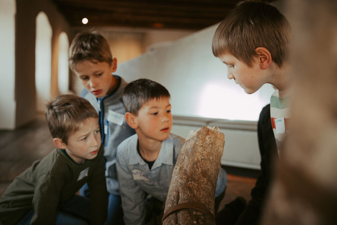 Kinder bestaunen den Mammutzahn im Stadtmuseum Steyr.